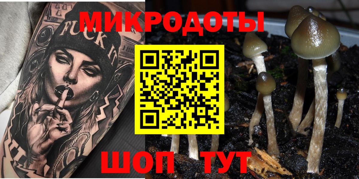Домодедово  Галлюциногенные грибы MAGIC MUSHROOMS  Вход с VPN 